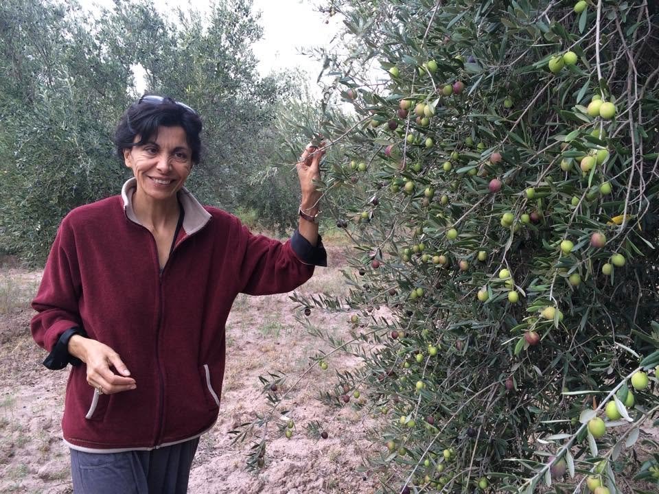 Norma Nolly in the olive grove at Finca Victoria